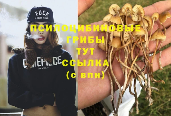 COCAINE Верхнеуральск