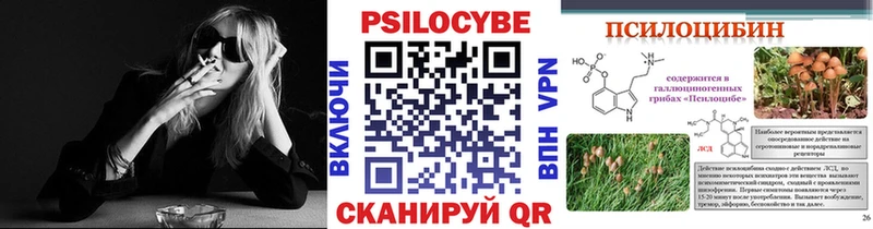 наркота  Иннополис  Псилоцибиновые грибы Cubensis 